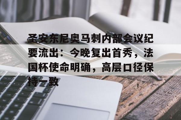 明星解说视频-圣安东尼奥马刺内部会议纪要流出：今晚复出首秀，法国杯使命明确，高层口径保持一致的简单介绍